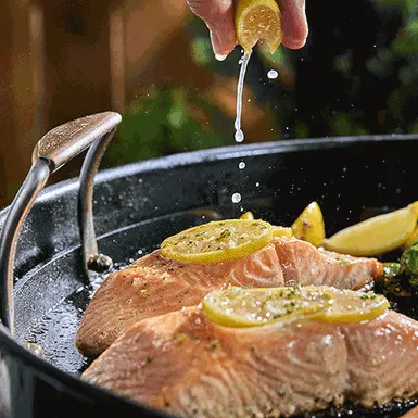 Griddle and Fire Bowl fs56